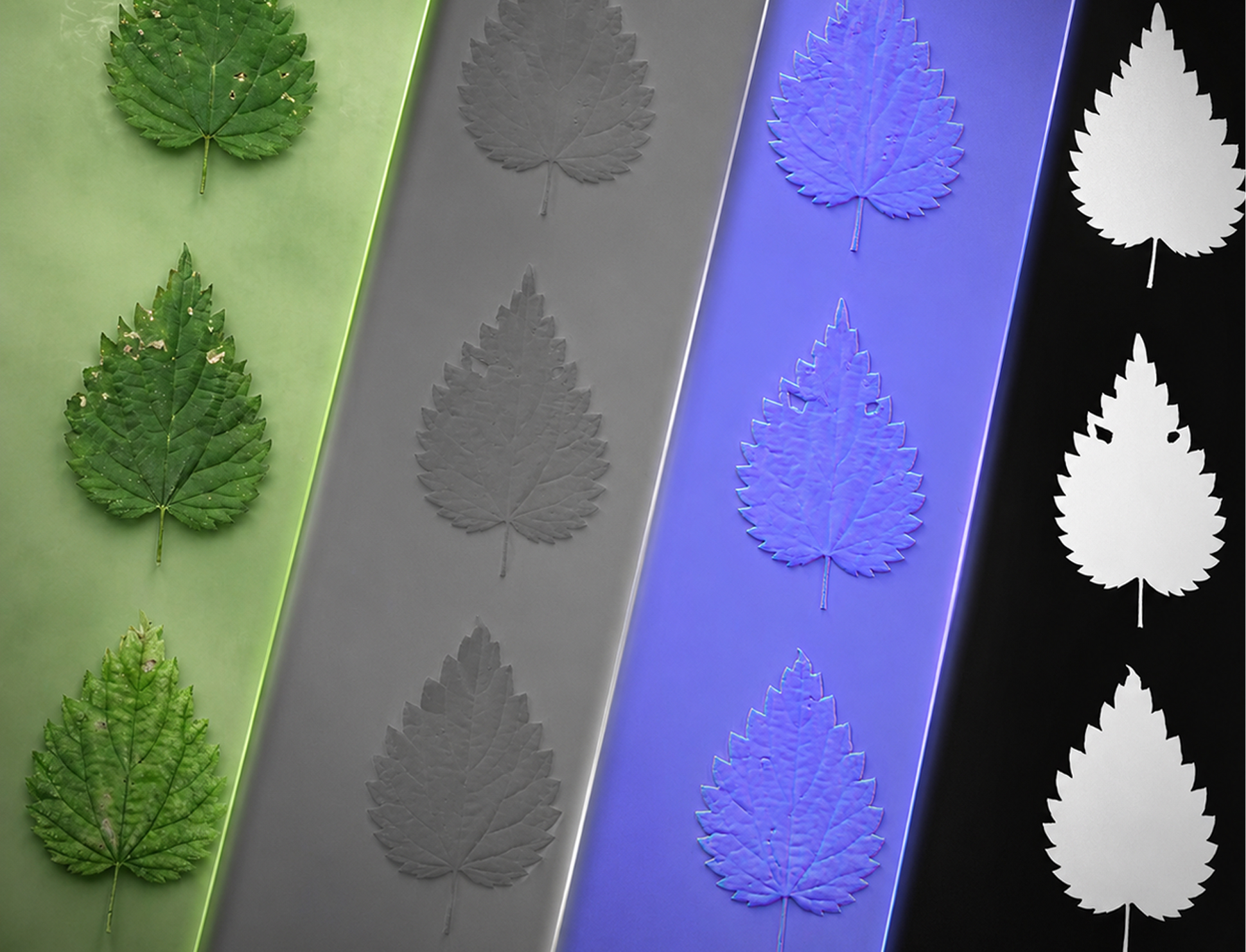 PBR Textures